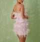 Becky Sequined Feather Dress